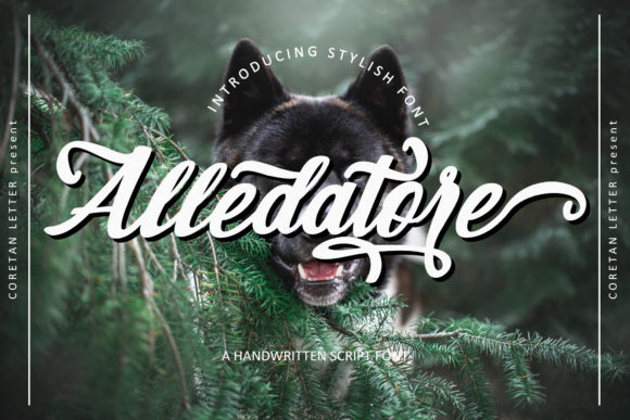 Alledatore: The Script Font for Scroll-Stopping Marketing