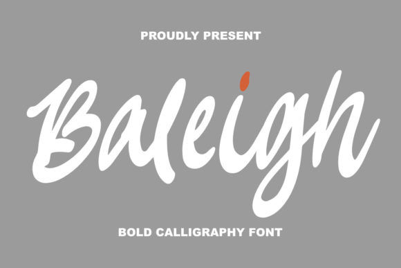 Baleigh: A Chunky Script Typeface for Modern Web Design
