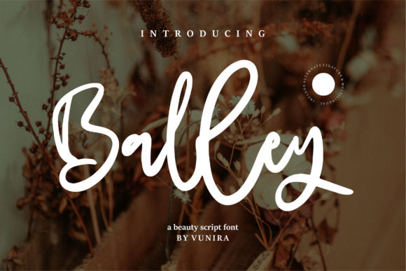 Balley Script Font: A Web Designer's Review for Digital Brands