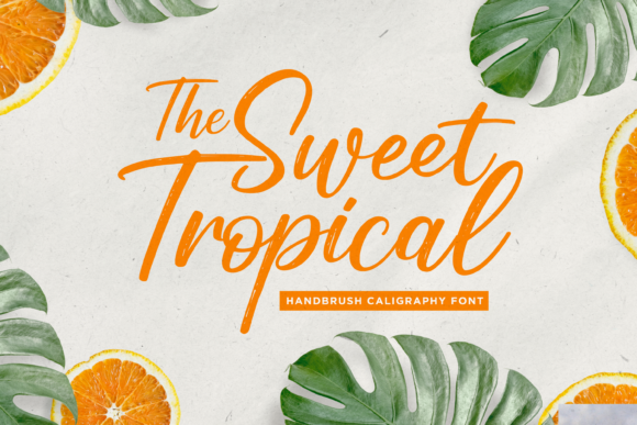 Designing with Sweet Tropical: A Delicate Script Font for Branding