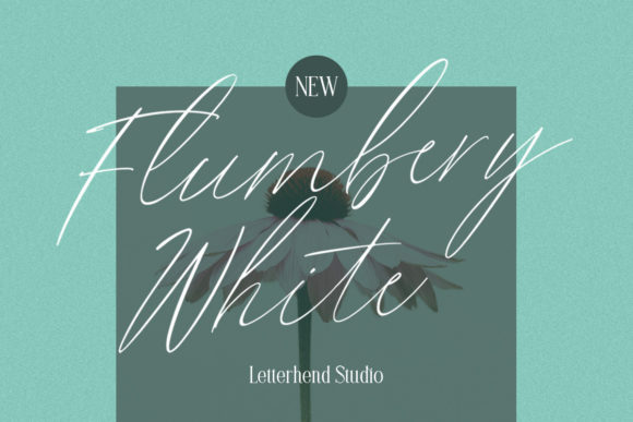 Flumbery White: A Playful Script Font for Editorial Design