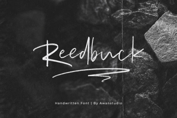Reedbuck: A Premium Script Font for Elegant Branding
