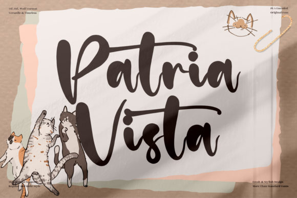 Refining Editorial Style with the Patria Vista Typeface