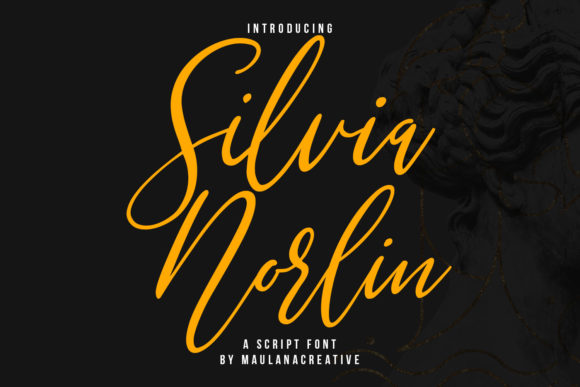 Silvia Norlin Font: A Web Designer's Review